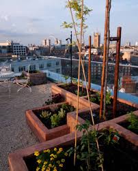 Roof Gardens Homify