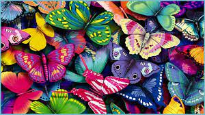 HD Wallpaper Butterfly Painting ...