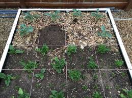 how we use square foot gardening to