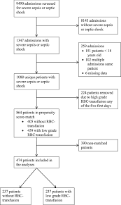 In septic shock, there is critical reduction in circulatory function, while acute failure of other organs. Mortality And Morbidity Of Low Grade Red Blood Cell Transfusions In Septic Patients A Propensity Score Matched Observational Study Of A Liberal Transfusion Strategy Springerlink