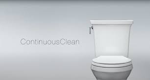 a self cleaning toilet feature