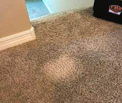 clean up after a bleach spill on carpet