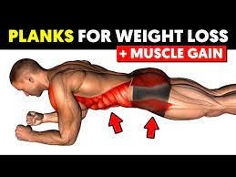 lose weight gain muscle