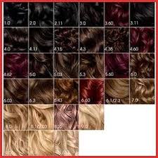 Garnier Olia Hair Color Chart 165075 Amazon Garnier Olia