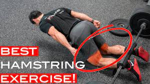 master the nordic hamstring curl to