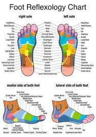 Foot Reflexology Chart Art Silk Poster 24x36 24x43 Ebay