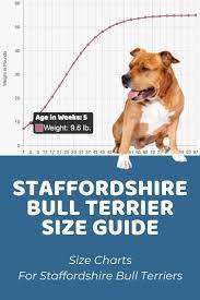 staffordshire bull terrier size chart