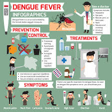 Experts explain what paediatric dengue is and how to notice the signs. Top Tips For Avoiding Dengue Fever Globetotting Com
