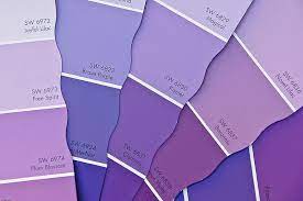 Purple Paint Samples Purple Paint