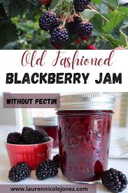 easy blackberry jam recipe with or