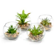 Mini Artificial Succulents In Glass Pot
