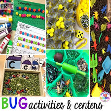 Bug Centers And Activities Pocket Of