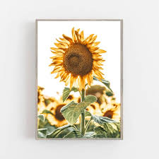 Sunflower Printable Wall Art Sunflowers