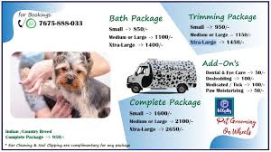 Pet grooming service from the best pet groomers in dubai. Grooming On Wheels Petgully