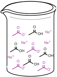 preparation of reagents and buffers