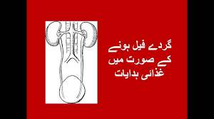 Diet In Kidney Disease In Urdu Youtube