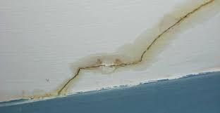 Smelly Mold Mildew After A Leak