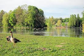 See this tour and others like it, or plan your own with komoot! Englischer Garten In Munchen Birding Mit Waltraud Hofbauer