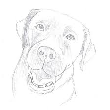 Funny dog outline cartoon character painted cute animal. Chocolate Lab Sketch Dog Sketch Dog Pencil Drawing Dog Art