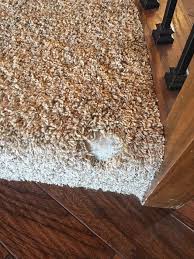 residential carpet repair service