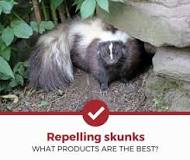 what-is-the-best-skunk-repellent