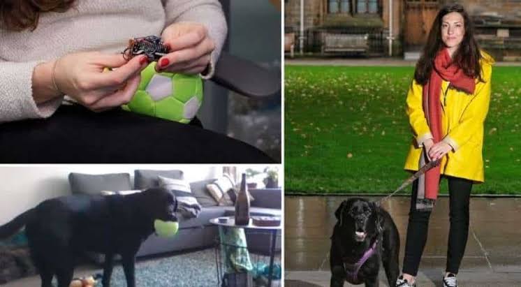 Now, dogs can call their owners for a chat anytime