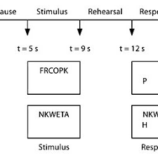 Flow Chart Of The Time Sequence S Of Presentation Of The