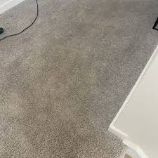 dunamis carpet cleaning and maintenance