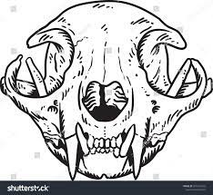 Cat skull illustration