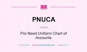 What Does Pnuca Mean Definition Of Pnuca Pnuca Stands