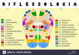 Reflexology Foot Chart Stock Photos Reflexology Foot Chart