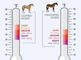 Which Blanket Your Horse Needs Based On Temperature And If