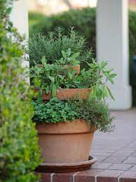 Herb Garden Design Ideas And Growing