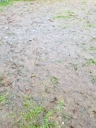 Picture Of The Untreated Mud That Caused Many To Fall