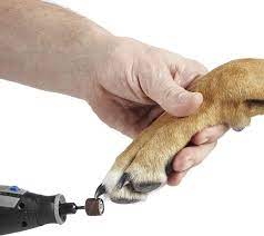 dremel pawcontrol dog nail grinder and