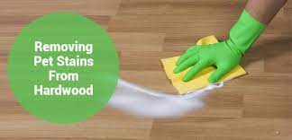 How To Remove Pet Urine Stains From