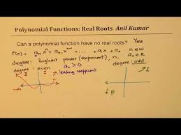Polynomial Functions Have No Real Roots
