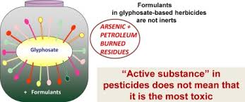 The root system is not killed and the weed may grow back from the roots. Toxicity Of Formulants And Heavy Metals In Glyphosate Based Herbicides And Other Pesticides Sciencedirect