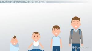 Piagets Stages Of Cognitive Development