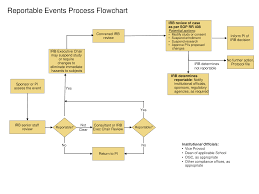 Process Flow Chart For Manufacturing Company Production