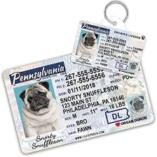 To renew or replace a state id card, you must order a camera card either online or by mail, then obtain your id card in person at a photo center. Amazon Com Pennsylvania Driver License Custom Dog Tag For Pets And Wallet Card Personalized Pet Id Tags Dog Tags For Dogs Dog Id Tag Personalized Dog Id Tags
