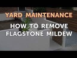 How To Remove Flagstone Mildew