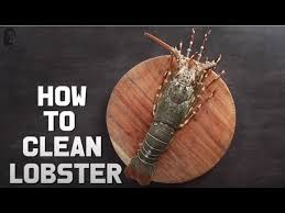 how to clean lobster ल बस टर क स
