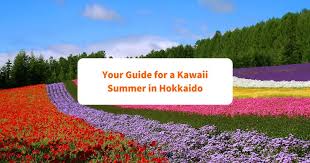 kawaii summer in hokkaido an