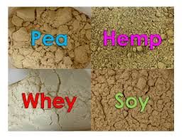 comparison of protein powder rheology