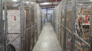storage units leesburg fl on us hwy 441