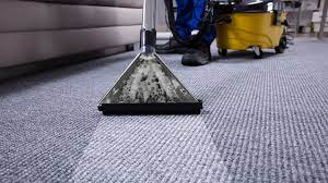 carpet cleaning platinumcare