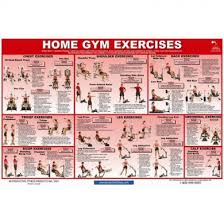 56 Detailed Pacific Fitness Solana Exercise Chart
