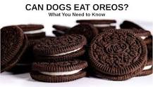 can-dogs-eat-oreo-icing