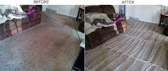 carpet cleaning service in ogden utah